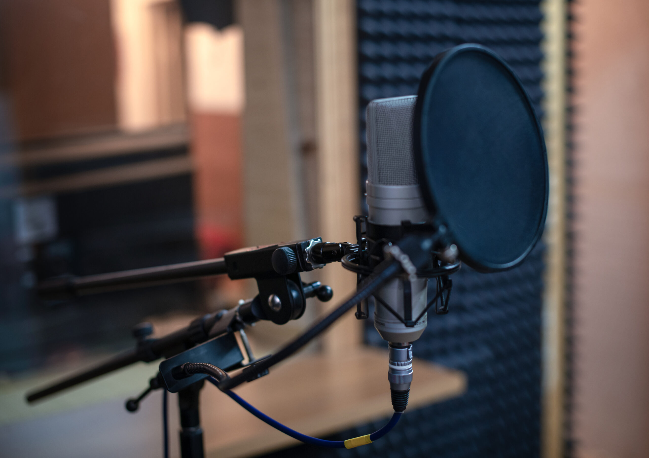 Voice,Microphone,With,Shock,Mount,And,Pop,Filter,On,Professional